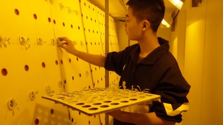 【以种菜为种族天赋的民族 00后在大洋上种生菜】众所周知,我们是以种菜为种族天赋的民族,0